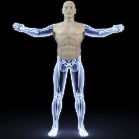 part of the male body under X-rays. 3d image.の写真素材