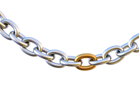 silver chain with a golden link. isolated on white.
