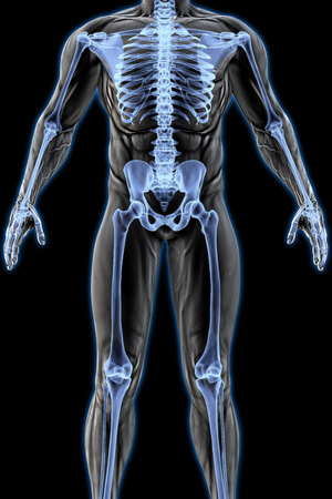 man's body under X-rays. 3D illustration.の写真素材