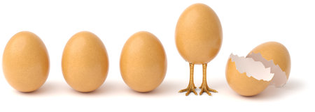 Row of chicken eggs. One egg with golden chicken feet and one Broken Egg Shell. isolated on a white...