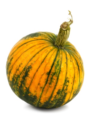 A small green pumpkin on a white backgroundの写真素材
