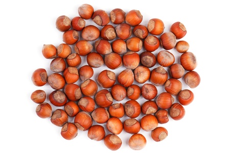 A lot of ripe hazel-nuts on white backgroundの写真素材