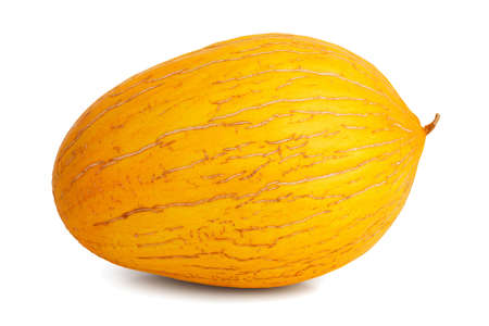 Ripe and beautiful big yellow melon on white backgroundの写真素材