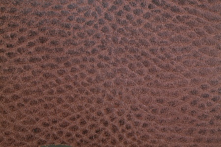 Piece of beef brown leather with the textureの写真素材