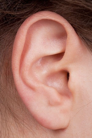 Detail of the face with a human ear and hairの写真素材