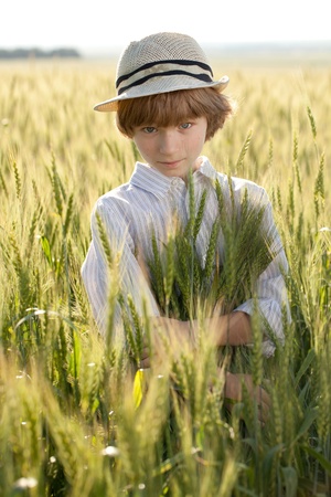 Boy is among the ears of wheat in a fieldの写真素材