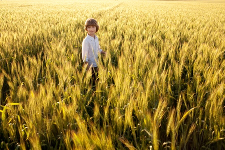 Boy in the middle of wheat fields on a summer eveningの写真素材