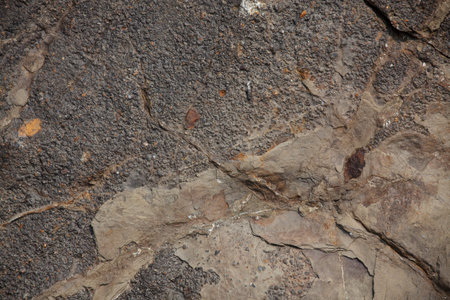 Stone dark brown color with a rough surface