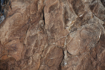 Brown stone with protuberances on the surface