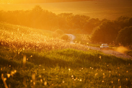 Small car traveling on a country road among fields in the eveningの写真素材