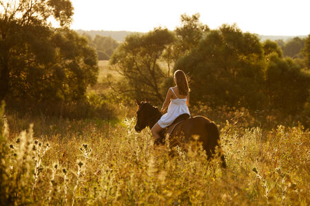 Young woman on a brown adult horseの写真素材