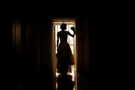 Silhouette of a bride in stylish wedding dressの写真素材