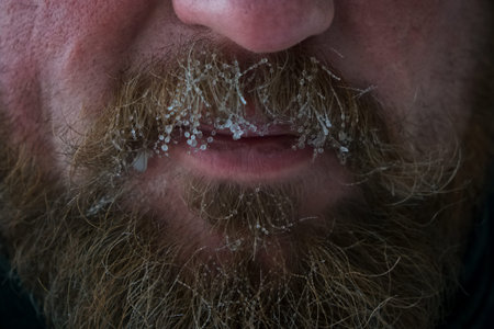 Detail of the face of a bearded man with frost on his mustacheの写真素材