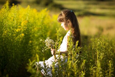 Little girl picking flowers in a fieldの写真素材