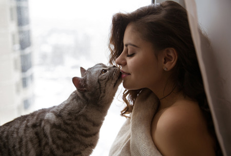 Big gray cat kisses a pretty girlの写真素材