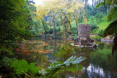 Landscape with autumn forest and a pond in the middleの写真素材
