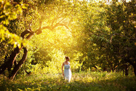 Woman in a blue dress walks through the evening apple orchardの写真素材