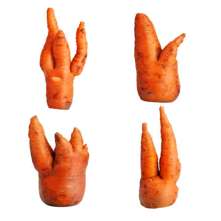 Four different carrots on a white backgroundの写真素材