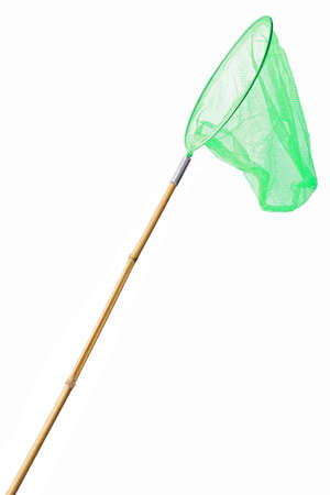 Green butterfly net on white background isolatedの写真素材