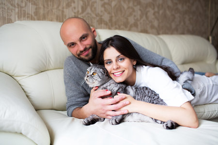 Young couple lying at home on the couch with their catの写真素材