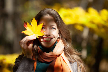 Young pretty woman holding maple leaves by her faceの写真素材