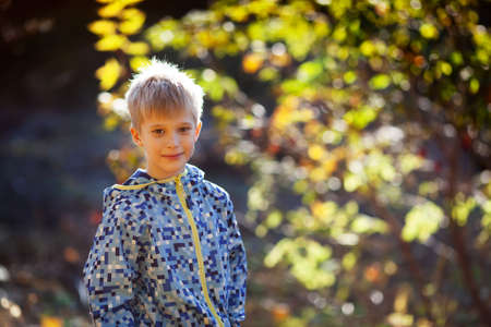 Portrait of a cute little boy on a background of autumn foliage on a sunny dayの写真素材