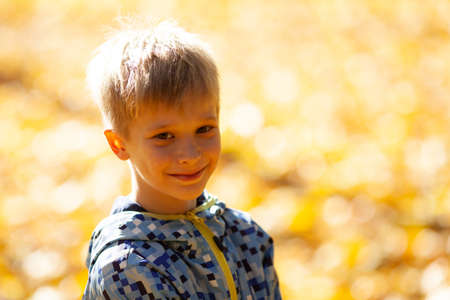 Portrait of a cute little boy on a sunny autumn dayの写真素材