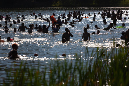 Lots of people swim in the pond on a hot summer day.の写真素材