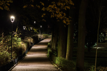 Illuminated brick pathway in park at night with vintage streetlights and autumn yellow leaves on trees.の写真素材