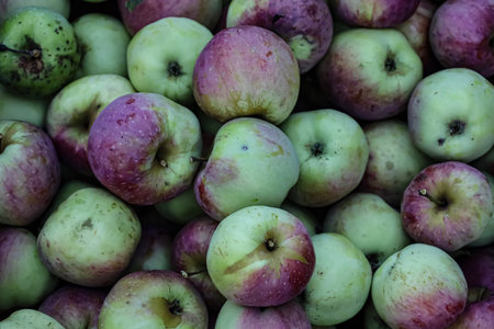Assorted apples, light-green with red spots, stacked together creating a vibrant fruit composition.