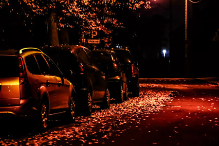 Night urban street with parked cars, warm orange lights, and fallen autumn leaves glowing on...