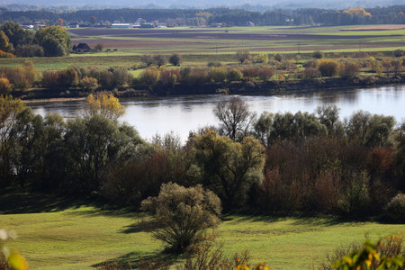 Autumn landscape with a river, fields, and trees. Warm foliage tones and soft haze over the horizon...