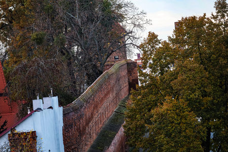 Old brick castle wall surrounded by autumn trees with yellow and green leaves, with a tower and...