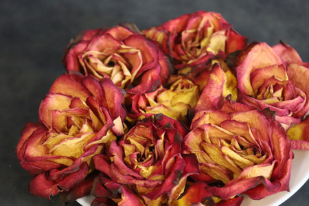 Close-up of rose buds arranged on a plate, creating an aesthetic and romantic look.の写真素材