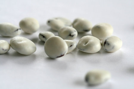 Closeup of yogurt covered raisinsの写真素材