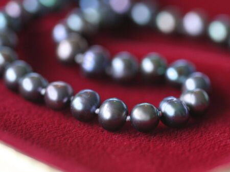 Close up of a black pearl necklace on red velvetの写真素材