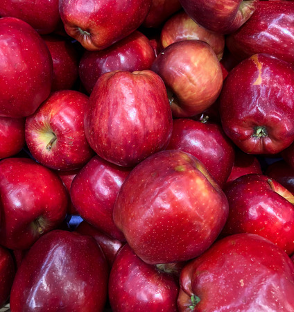 Close up of a bunch of red delicious applesの写真素材