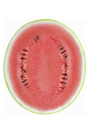 Exactly half of the red watermelonの写真素材