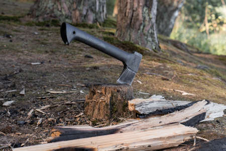 A small modern ax sticks out in a stump near which chopped charred firewood is scattered for a campfire in a parking lot or a halt with an overnight stay in the forest in a tent.の写真素材