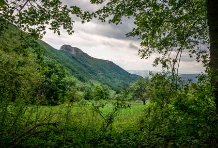 Hidden look from bushes on green field with big rockの写真素材