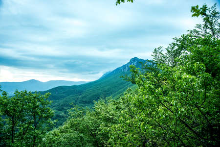 Green vegetation and skyline in beautiful mountineの写真素材