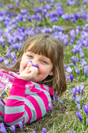 Adorable smiling girl holding flower on her nose and lying on the meadowの写真素材