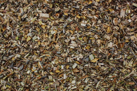 Shredded tree branches and bushes lie on the ground.の写真素材