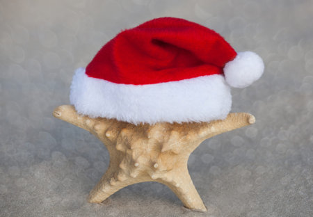 On the beach, the sand is a starfish wearing a Santa Claus hat. Celebrating the New Year and Christmas in the Ocean Sea. Travels.の写真素材