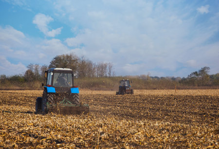 Two large blue tractor plow plowed land after harvesting the maize crop on a sunny, clear, autumn...