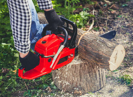 A man - Lumberjack in a black and white checkered shirt sawing a chainsaw in a forest.の写真素材