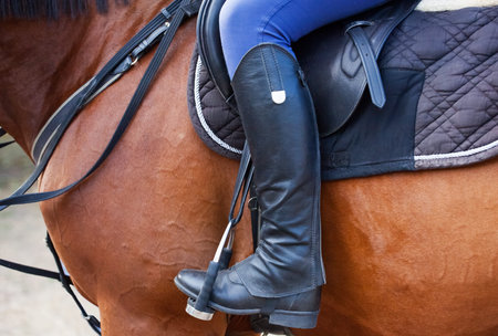 The rider sits on a brown stallion. Horseback ridingの写真素材