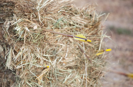 Arrows in bales of dry, golden hay in nature.の写真素材