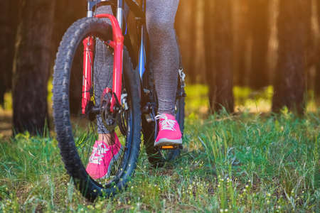 One young woman - an athlete in the pink shoes walks with the mountain bike in a pine forest in the morning .の写真素材
