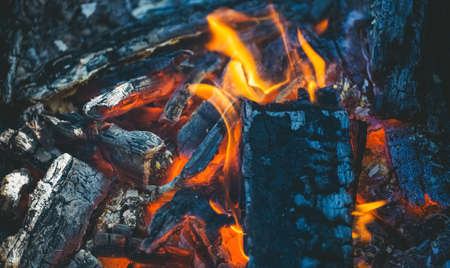 Chopped wood burns and smokes in the grill. Preparing for meat roasting on the fire. Barbecue in nature.の写真素材